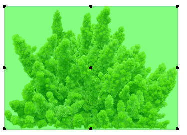 tooltip005 Creating Plant Cutouts